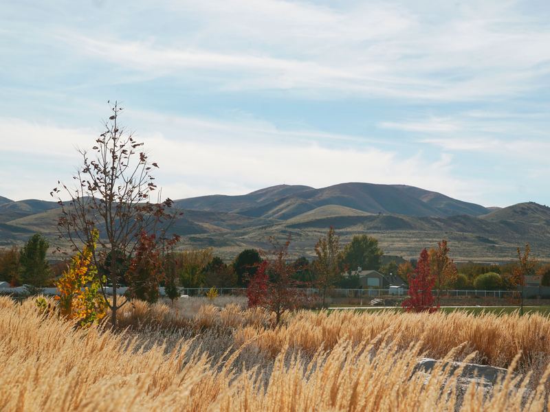 Autumn grasses, trees, and neighborhood homes at Wardle Fields Regional Park in Bluffdale, Utah, with hills beyond